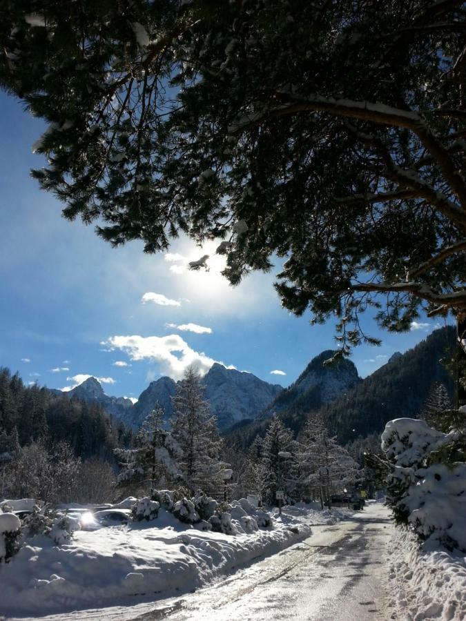 Apartmaji Gros Kranjska Gora Εξωτερικό φωτογραφία